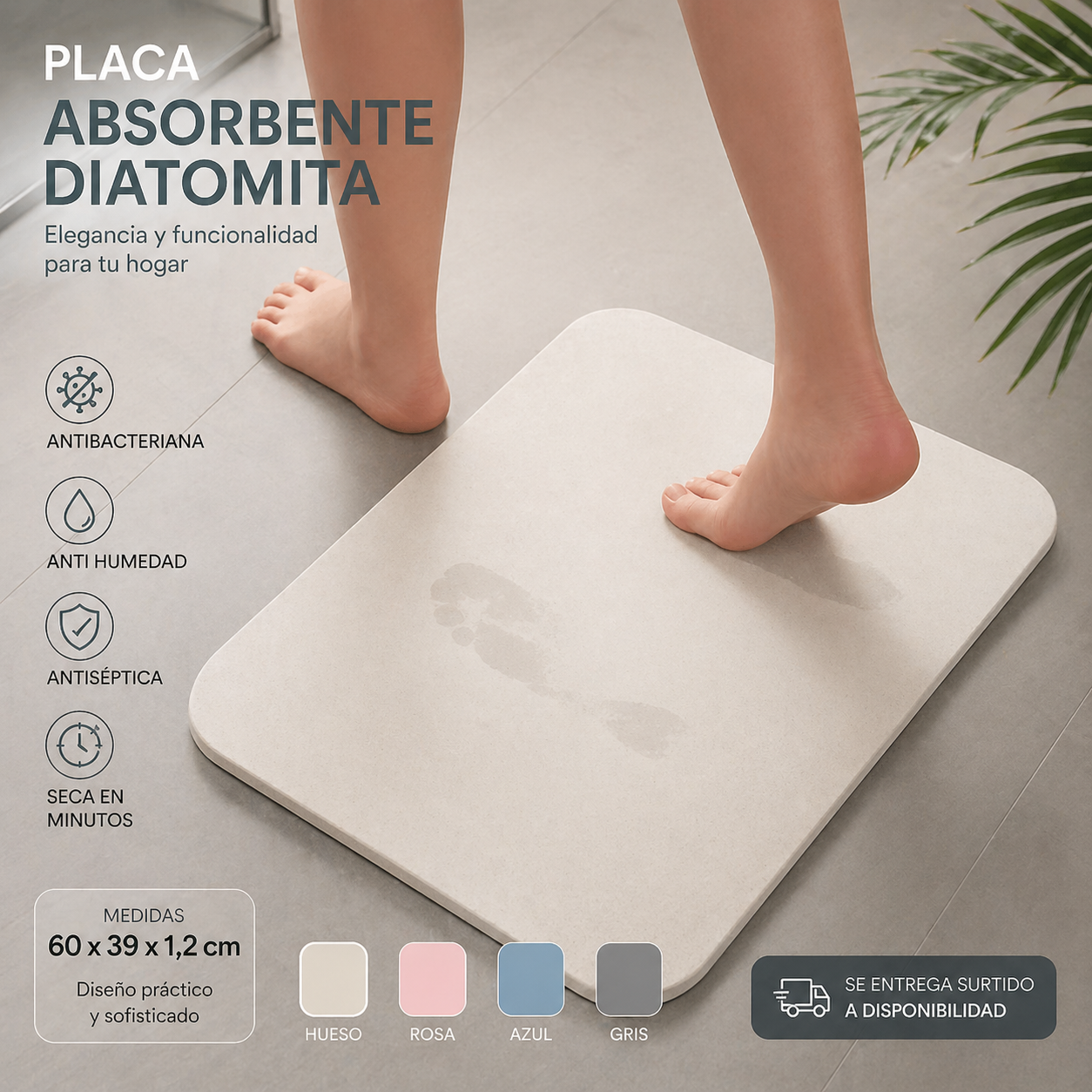 Placa Absorbente Diat&oacute;mica